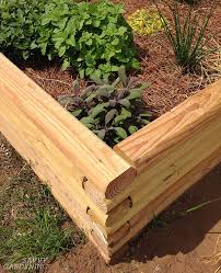 Building raised beds is an excellent diy project for those wanting to grow their own food. Raised Garden Bed Materials Options For Building Your Veggie Garden