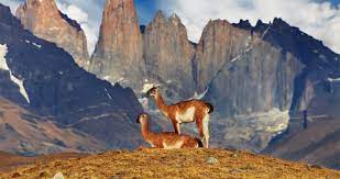 Here in torres del paine, you can easily experience all four seasons in one day. Torres Del Paine Chile Travel