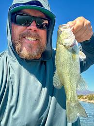 Evening guys, so I'm after abit of advice and info, I fancy having a go at  the mullet in the river ogmore, I always see plenty when I'm lure fishing  for bass,