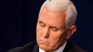 A Fly Lands In Pence S Hair During The Debate Twitter Goes Wild Bermuda Real