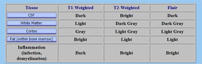 T1 relaxation describes the time it takes for the protons to relax or recover back to the same orientation as the magnetic field (after the rf pulse is turned off). What S The Differences In Appearance Between T1 T2 And Pd Weighted Images