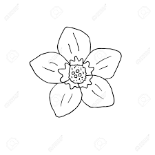 We did not find results for: Vector Hand Drawn Doodle Sketch Forget Me Not Flower Isolated On White Background Royalty Free Cliparts Vectors And Stock Illustration Image 141888871