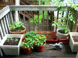 Small containers are easy to move around from full. How To Grow Vegetables On A Balcony Patio Or Windowsill Oregonlive Com