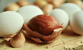 Mewarnai gambar telur ayam menetas. Halaman 12 Gratis Ayam Coklat Foto Piqsels