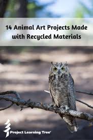 Here's a fun way to learn the parts of a cell and prep lunch at the same time. 14 Animal Art Projects Made With Recycled Materials Project Learning Tree