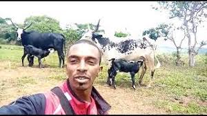 Download a collection list of songs from sanda boro 2021 mp3 easily, free as much as. Https Sanda Boro May 2021 Rytmp3 Com