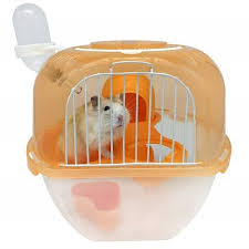 Best 5 Hamster Carriers Travel Cages For Sale In 2021 Reviews