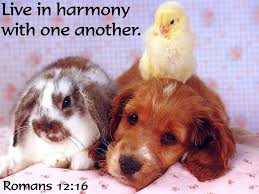 Bible Quoted Pics S Image Baby Animals Animals Bible