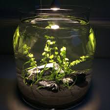 nano einfach und simpel