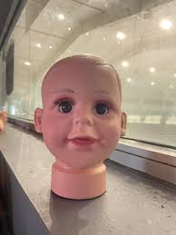 Delaware Bobcats Womens Ice Hockey