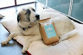 Santa Cruz startup Ya Doggie sees need for healthy dog food delivered