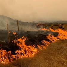 Learn all about them by reading this article. Witness The Frontlines Of California S Wildfires With New Discovery Series Cal Fire Discovery