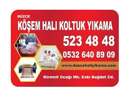 Duzce Hali Yikama Adli Kullanicinin Ev Icin Fikirler Panosundaki Pin Bagdat