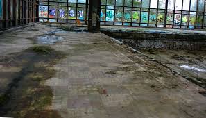 Pablo iglesias maurer ist freiberuflicher journalist und fotograf mit einem faible für verwaiste orte. Creepy Photos Show Abandoned American Resort Towns
