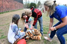 The science of eggs, kids and collaboration