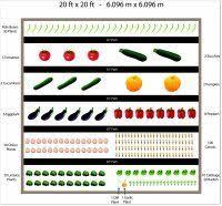 Free 20 X 20 Vegetable Garden Plan Vegetable Garden Planner Home Vegetable Garden Garden Planner