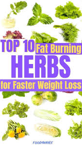 Pin On What Is The Keto Diet