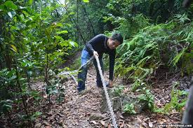 Jelajah taman rekreasi tanjung tuan ini penjelajahan yang tidak ada dalam perancangan penulis dan isteri. Hiking Rumah Api Tanjung Tuan Xplorasi Destinasi