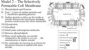 Membrane Structure And Function Ppt Download