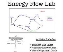 Energy Flow Lab Stock Market Wave Theory How To Find Out