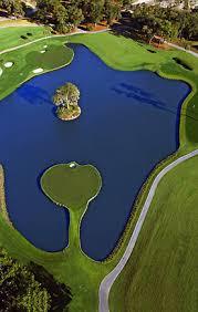 Explore reviews, photos & menus and find the perfect spot for any occasion. Tpc Sawgrass The Players Stadium Course Rates Reviews Stats Book Online