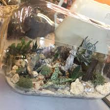 Succulent Container In A Large Pickle Jar From The Side Plants In Jars Succulents In Containers Dish Garden