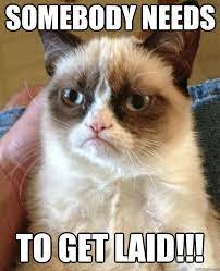 Somebody Needs To Get Laid Grumpy Cat Quickmeme