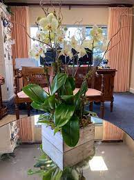 Read the latest reviews for hutchinson's floral artistry in vero beach, fl on weddingwire. Hutchinson S Floral Artistry Home Facebook