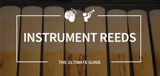 The Ultimate Guide To Clarinet And Saxophone Reeds