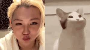 Felix Stray Kids Felix Pop Cat GIF