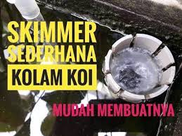 Review Skimmer Kolam Koi Minimalis Youtube Di 2020 Kolam Ikan Ikan Kolam