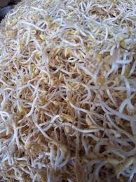 Posting lebih baru posting lama beranda. Toge Mung Bean Sprouts Food Drinks Spice Seasoning On Carousell