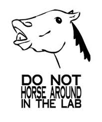 Science lab rules and regulations. 39 Best Lab Safety Poster Ideas Lab Safety Lab Safety Poster Safety Posters