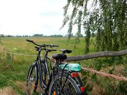 Radtour Brandenburg Gustebieser Loose Oder Nach Bad Freienwalde Tag 2 Unterwegs In Berlin