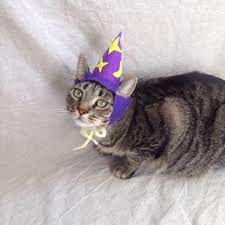 Wizard Hat For Cats Glow In The Dark Etsy Pet Costumes Patriotic Hats Cats