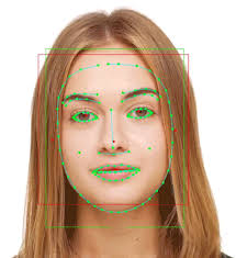 TensorFlow Lite Now Faster with Mobile GPUs — The TensorFlow Blog