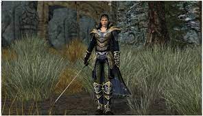 Top 5 Lotro Best Solo Classes Gamers Decide