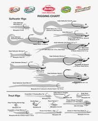 We did not find results for: Different Rigs For Bass Fishing 750x970 Png Download Pngkit