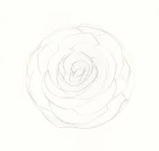 Last updated on may 5, 2021. How To Draw Roses An Easy And Complete Step By Step Drawing Demo
