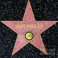Elvis Presley Elvis Rock And Roll Music Musician Musicians Singer Singers Walk Of Fame Fame Famous Famous Peo Hollywood Walk Of Fame Walk Of Fame Elvis Presley
