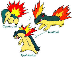 32 Matter Of Fact Pokemon Cyndaquil Evolution Chart