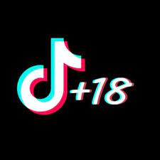 For months, trying to use tiktok on a pc has been a tough challenge. Tik Tok 18 Tiktok1812 Twitter