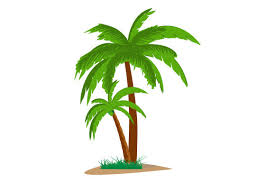 Free vector icons in svg, psd, png, eps and icon font. Palm Tree Illustration Graphic By Curutdesign Creative Fabrica
