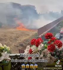 La nuova ondata di caldo torrido con temperature superiori ai 40 gradi in alcuni punti della sicilia fa bruciare diversi territori dell'isola. Catania Incendio Sotto Casa Dei Morti Di Fame No Vabbe Video