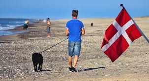 Urlaub im ferienhaus in dänemark. Danemarkurlaub Mit Hund Die Wichtigsten Fragen Und Antworten Klitly Der Kleine Danemark Blog