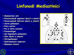 Le biopsie dei linfonodi mediastinici e delle masse mediastiniche possono essere eseguite: Patologia Del Mediastino Pdf Download Gratuito