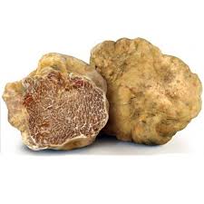 Where To Buy A Wine Travel Case During The Alba White Truffle Fair White Truffle Truffles Italian Truffles
