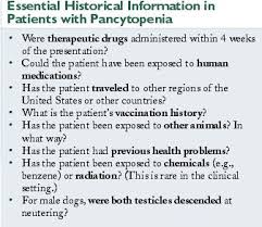 If your dog is infected with bartonella his immune system might just fight off the infection and show no clinical signs. Causes Of Canine And Feline Pancytopenia Vetfolio