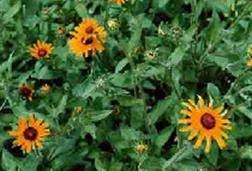 Check spelling or type a new query. The Six Kingdoms