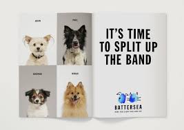 Battersea Pentagram Dog Charities Animal Charities Battersea Dogs